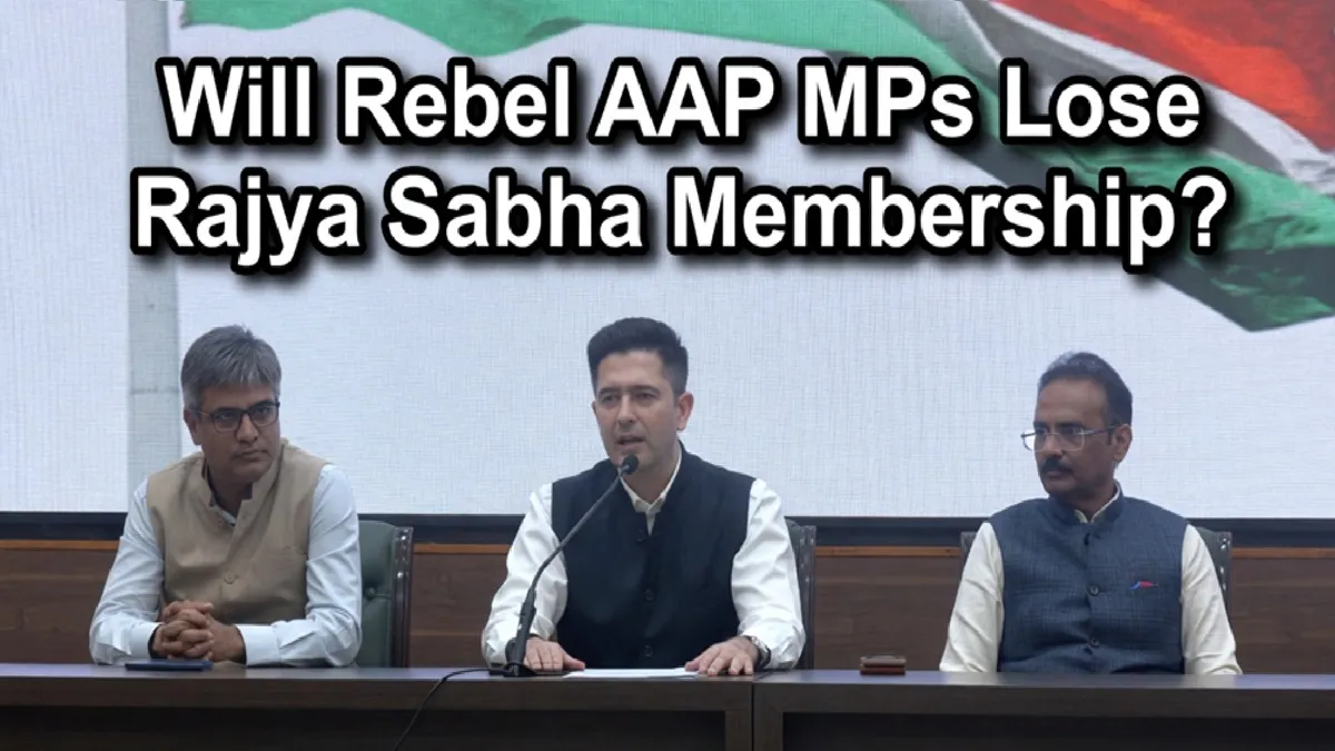 Raghav Chadha, 6 Other AAP Rajya Sabha MPs Merge With BJP; Will They ...