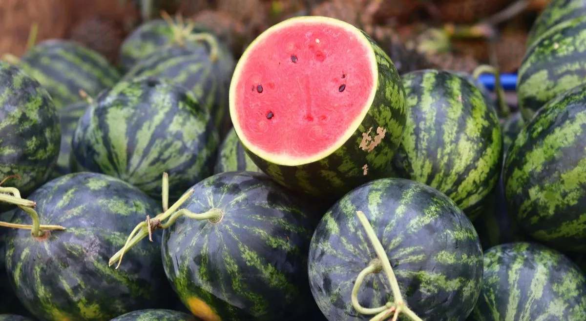do-not-eat-these-foods-with-watermelon-it-could-ruin-your-digestion