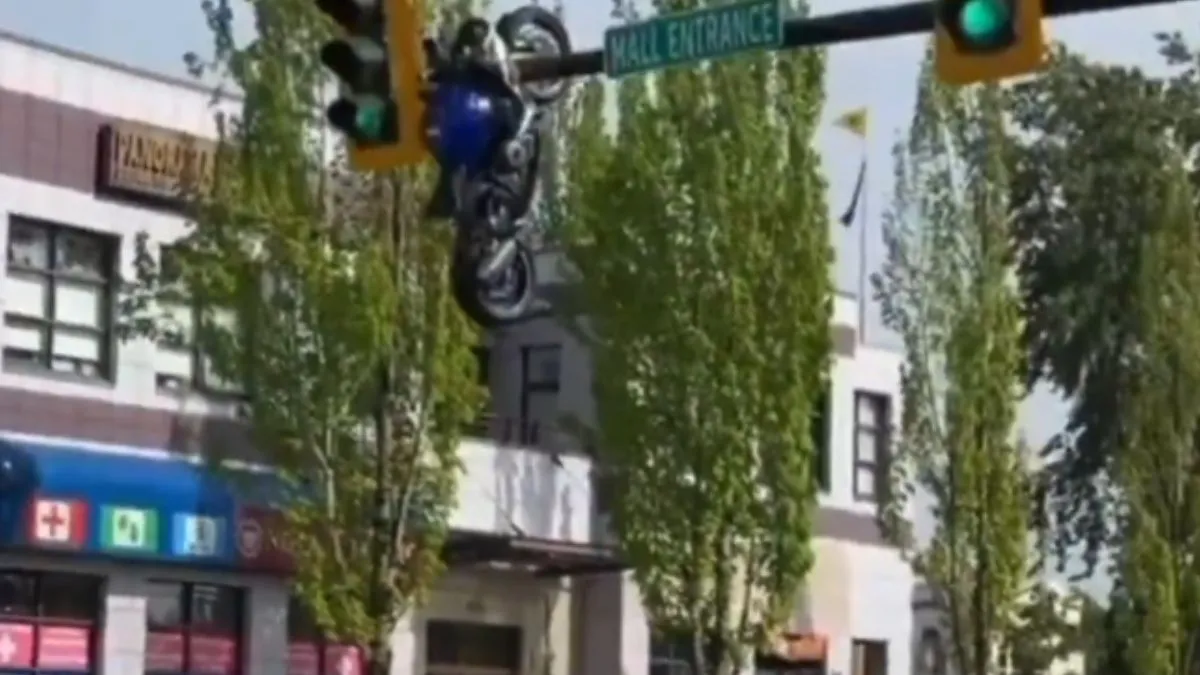 'You Can’t Park There': Bike Ends Up Hanging From Traffic Pole After ...