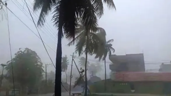 el-nino-alert-un-warns-of-weakening-monsoon-in-india-will-it-trigger-food-security-risks