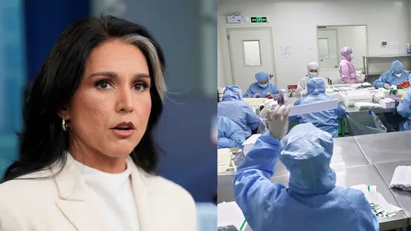 us-scientist-anthony-fauci-behind-wuhan-lab-research-linked-to-covid-tulsi-gabbard-drops-explosive-files