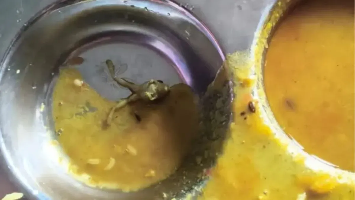 UP: Dead Frog Found In Dal Served To Students At Navodaya Vidyalaya In Maharajganj; Probe Ordered