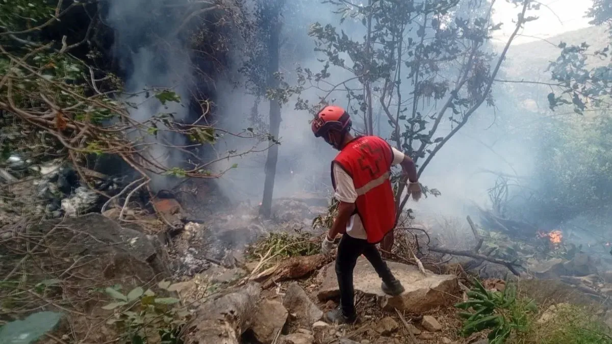 Ecuador Intel Chief, 5 Americans Killed in Kenya Helicopter Crash | Quick Digest
