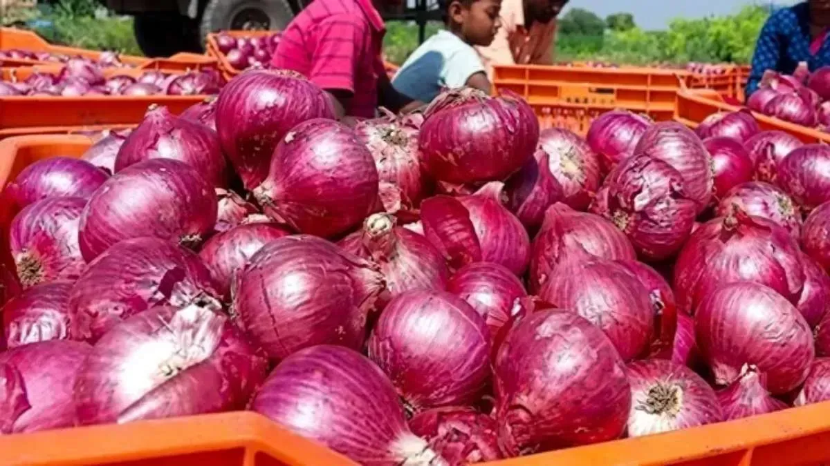 Onions To Be Sold At Rs 35 Per Kg As Prices Rise In Delhi; How Can You Buy?