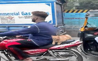 cool-cat-enjoying-bike-ride-in-mumbai-becomes-internet-sensation-see-pics