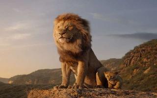 The Lion King Box Office Collection Day 5: Disney film eyes Rs 80 crore in first week