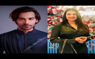 bigg-boss-13-from-himanshi-khurrana-to-arhaan-khan-check-all-details-about-new-contestants-here