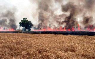delhi-pollution-nobody-will-be-spared-sc-slams-states-over-unabated-stubble-burning