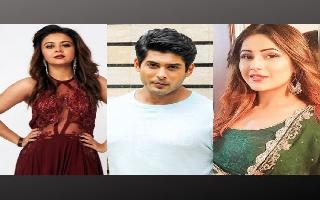 bigg-boss-13-day-51-highlights-devoleena-and-gets-closer-to-sidharth-shukla-shehnaz-left-infuriated-as-he-enjoys-with-others