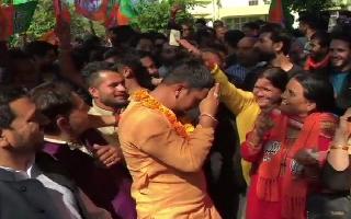 Bypolls 2019 result: BJP loses grip over four assembly seats, 'dark horse' Congress fares well in Punjab, Gujarat
