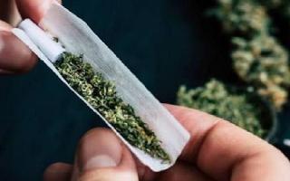 Delhi high on weed, ranks third on world’s largest cannabis consumer list