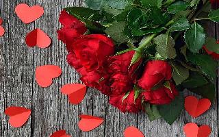 happy-rose-day-2020-wishes-quotes-whatsapp-messages-and-sms-to-share-with-your-loved-ones-on-this-day