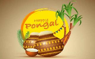 happy-pongal-2020-wishes-sms-quotes-messages-facebook-and-whatsapp-status-to-share-on-this-festival