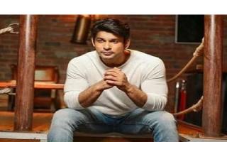 bigg-boss-13-day-123-highlights-sidharth-shukla-named-interim-captain-housemates-celebrate-shehnaazs-birthday