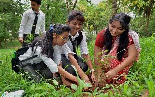 World Environment Day 2020 | History, Significance and Importance of 'Environment Day'