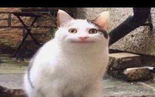 awkward-moments-day-2020-netizens-share-hilarious-memes-to-celebrate-this-weird-day-see-pics