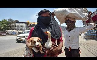 carrying-dog-in-one-hand-and-duck-in-other-migrant-workers-win-internet-as-they-walk-miles-to-reach-home