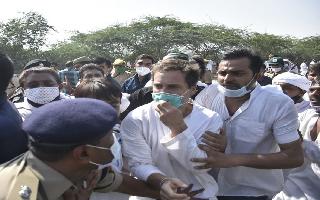 Hathras Case: Rahul Gandhi, detained on his way to meet victim's family, roughed up by police at Yamuna Expressway | Watch