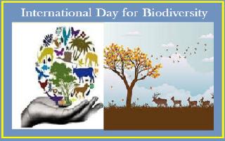 International Day for Biological Diversity 2021: Wishes, greetings, quotes, messages, WhatsApp and Facebook statuses to share on this day