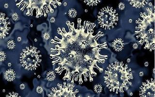 black-fungus-information-amid-shortage-of-amphotericinb-injections-oral-solution-the-way-forward