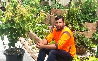 australian-gardener-claims-guinness-world-for-growing-10-different-fruits-on-one-tree