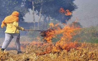 Jagran Explainer: How Centre plans to combat stubble burning by using biomass pellets in coal-fired plants