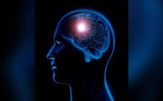 South Korea Sees 1st Death From Brain-Eating Amoeba; Know Symptoms, Causes And Effects Of This Rare Disease