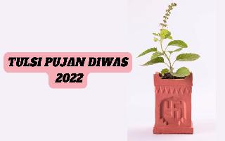 Tulsi Pujan Diwas 2022: Date, Significance And Puja Vidhi Of This Auspicious Day