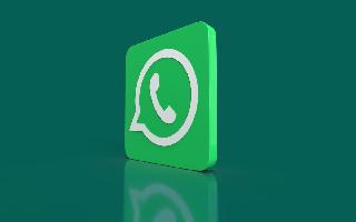 'Video Messages', 'Search Icon' For Settings Likely To Be Added To WhatsApp Soon; Details Here