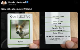 ola-welcomes-new-fourlegged-employee-bijli-ceo-bhavish-aggarwal-shares-photos-see-here
