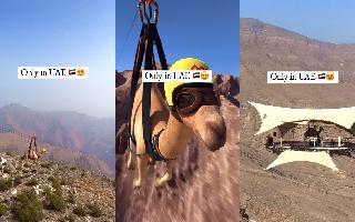 video-of-cgi-camel-crossing-a-mountain-peak-through-zipline-goes-viral-netizens-find-it-hilarious