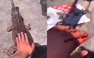 crocodile-attacks-man-after-he-attempts-to-pet-it-netizens-call-it-justified-watch