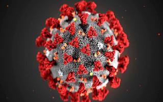 New Covid 19 Variant BA.2.86 Is Potentially Most Infectious Strain; Can It Turn Deadly? CDC Explains