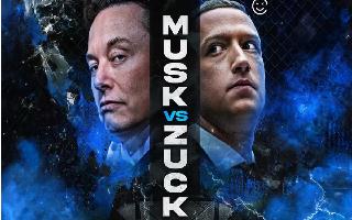 'First Episode Of X-Videos': X Users React As Elon Musk Announces Match With Mark Zuckerberg To Be Live Streamed