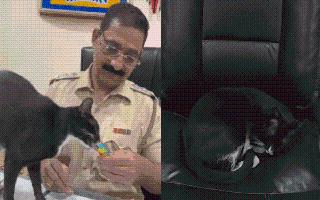 mumbai-police-has-a-furry-companion-and-internet-cannot-keep-calm-senior-police-inspector-cat-goes-viral-watch