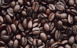 Top 10 Most Expensive Coffee In The World | Black Ivory To Saint Helena