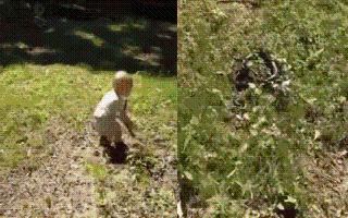 viral-video-toddler-mistakes-snake-for-twig-throws-for-pet-dog-to-fetch-watch