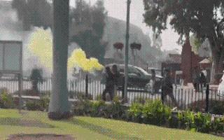 viral-video-reporters-become-laughing-stock-on-air-after-fight-erupts-over-smoke-canister-used-outside-ls-watch