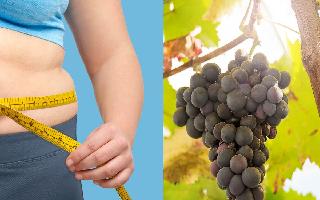 benefits-of-eating-black-grapes-in-winters-5-incredible-reasons-to-eat-this-fruit
