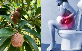 5 Unbelievable Health Benefits Of Eating Chickoo This Winter Season