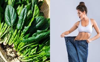 5-benefits-of-adding-green-leafy-spinach-into-your-diet-routine