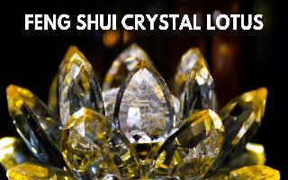 Feng Shui Crystal Lotus: Benefits Of Keeping This Lucky Object In Your Home To Attract Good Fortune And Prosperity