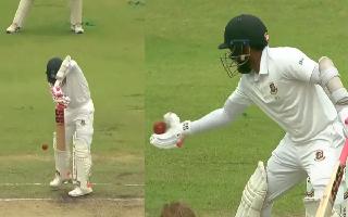 BAN vs NZ: Mushfiqur Rahim Given Out For Obstructing The Field On First Day Of 2nd Test In Dhaka | Watch
