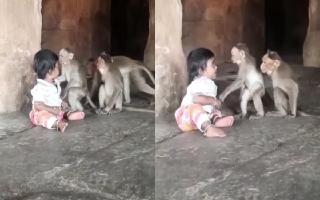 Viral Video: Monkey’s Heartwarming Gesture While Playing With Kid Is The Sweetest Thing On Internet Today