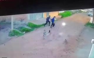 puppies-turn-the-tables-on-boys-who-scared-them-away-heres-how-watch