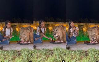 video-of-woman-sharing-meal-with-lion-goes-viral-netizens-call-it-mowgli-moment-watch