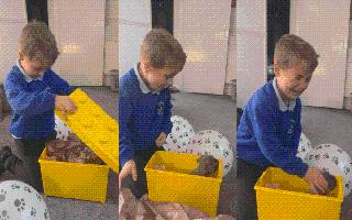 This 6-Year-Old’s Adorable Reaction To Getting A Puppy Is All What You Need To Watch Today