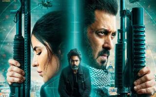 Tiger 3 New Promo Out: Salman Khan And Emraan Hashmi Lock Horns And Show Unseen Action Sequences | Watch