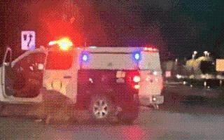 Naked Man Runs Away With Police Patrol Car; Gets Caught After Crash | Viral Video Sends Netizens ROLFing