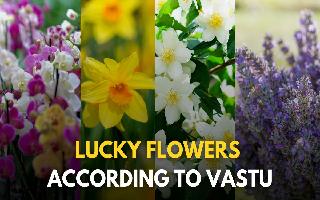 5 Flowers That Can Bring Prosperity And Happiness In Your Home As Per Vastu